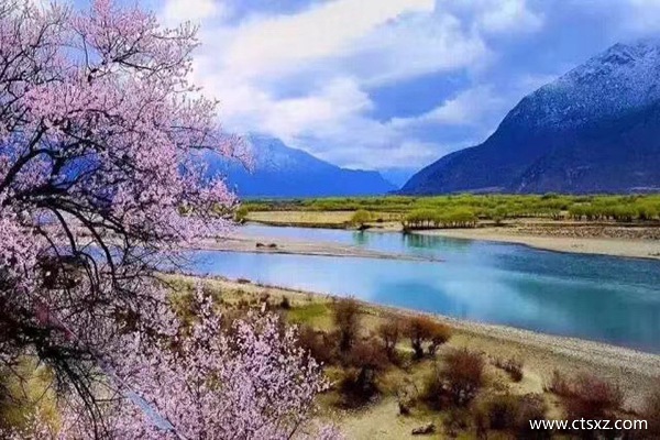 林芝桃花什么時(shí)候開(kāi)的最好